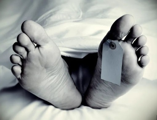 'Land Dispute in Doda | Elder Brother Fatally Attacked by Younger Sibling'